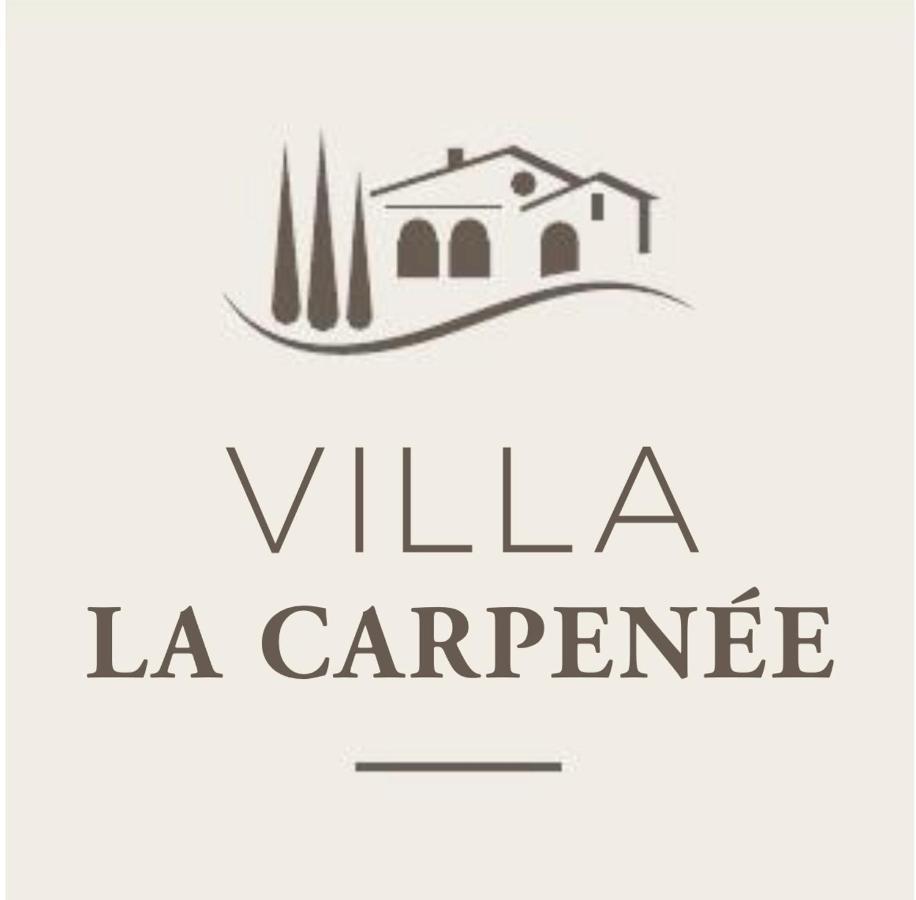 Villa La Carpenee 罗科福尔雷潘 外观 照片
