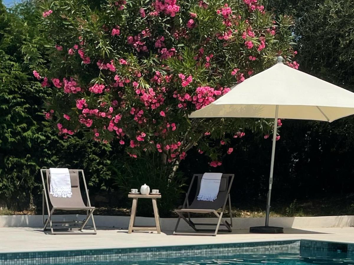 Villa La Carpenee 罗科福尔雷潘 外观 照片