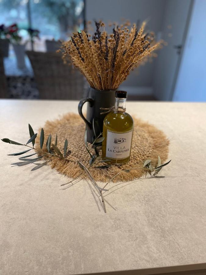 Villa La Carpenee 罗科福尔雷潘 外观 照片
