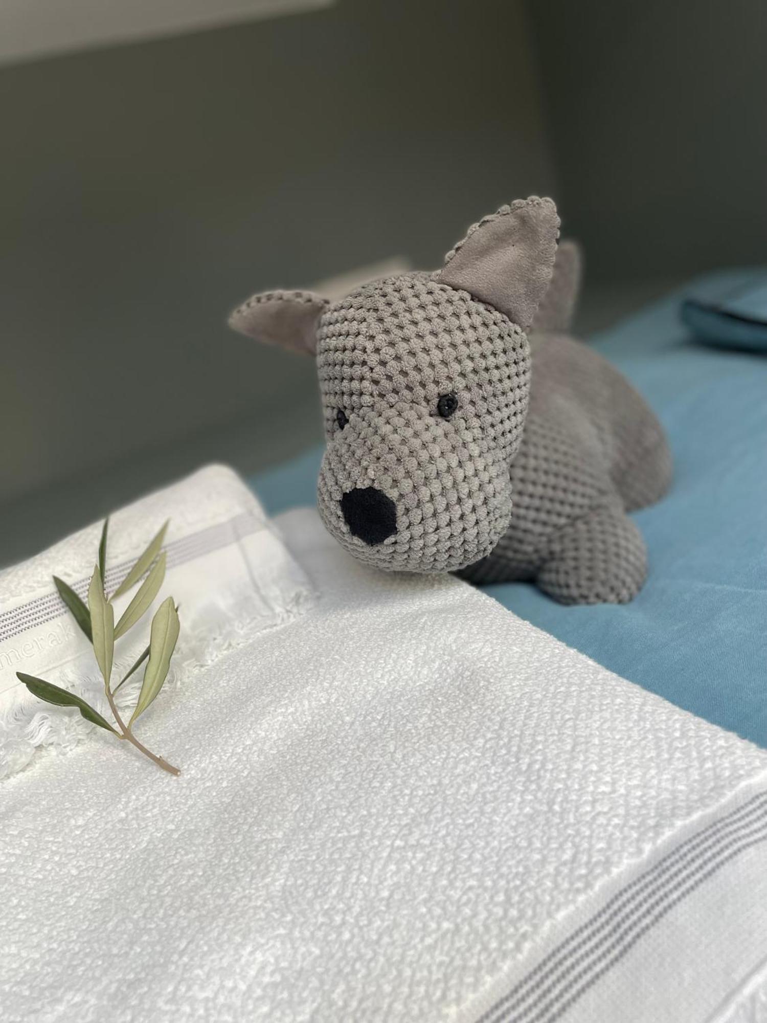 Villa La Carpenee 罗科福尔雷潘 外观 照片